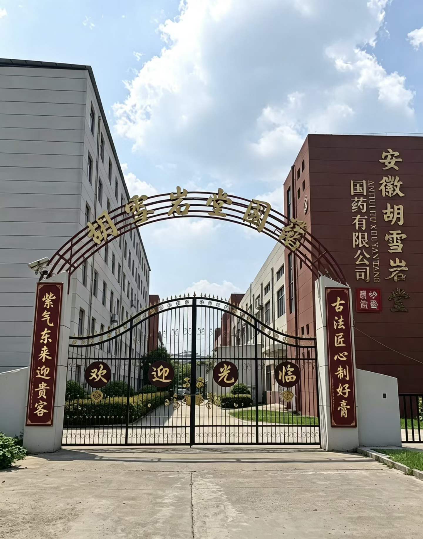 膏滋源头工厂怎么选更靠谱？这几家实力口碑值得深入了解